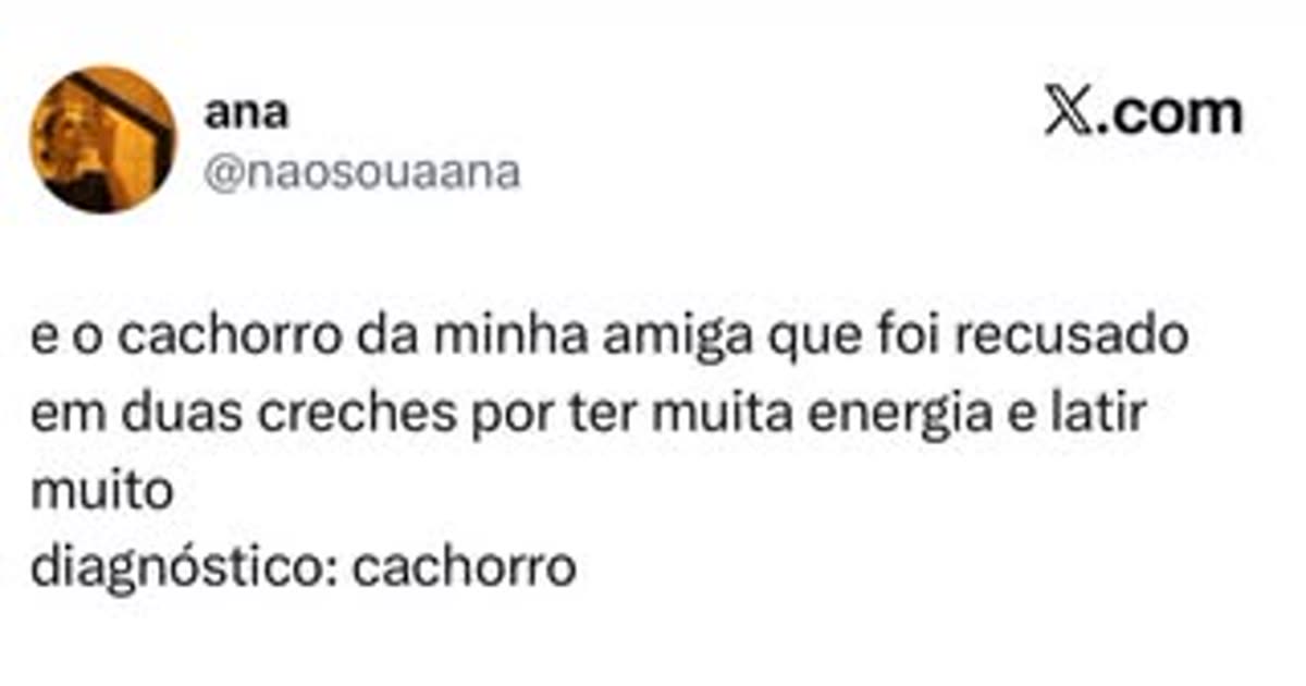 Cachorro recusado em creche por muita energia e latir demais