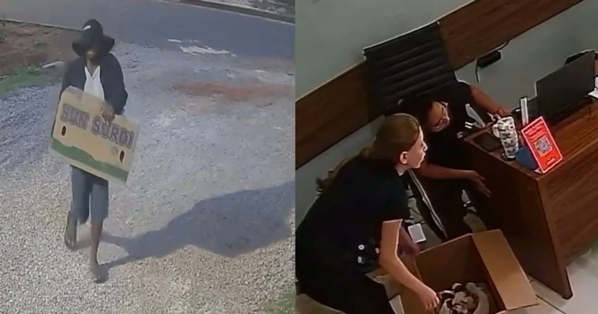 Câmera registra casal abandonando sete filhotes de cachorro em caixa na porta de ONG em Sinop; veja vídeo