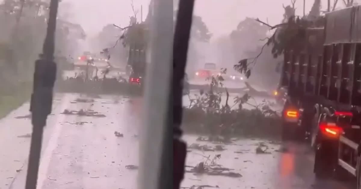Queda de árvores interdita trecho da BR-174 em Comodoro, Mato Grosso