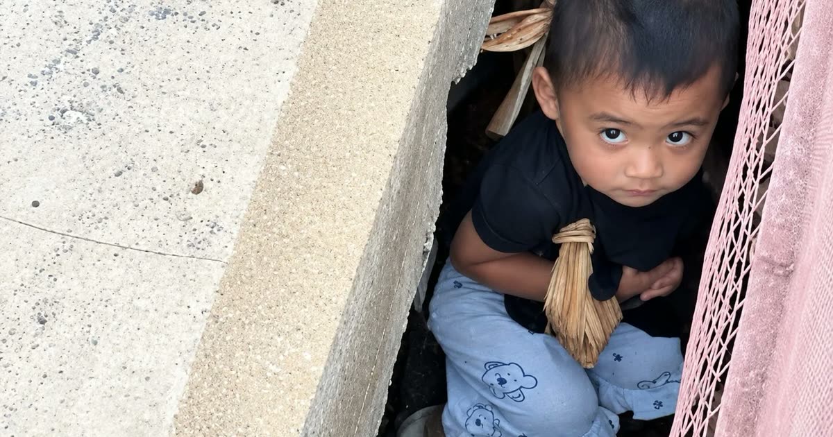 Menino de 3 anos entra em fresta estreita para salvar cachorrinho preso; Veja vídeo