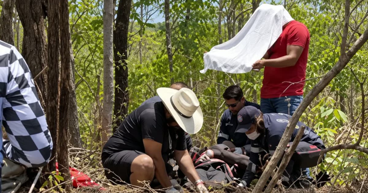 Motociclista atinge árvore na MT-251 entre Cuiabá e Chapada dos Guimarães
