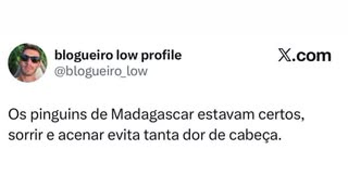 Pinguins de Madagascar: a sabedoria para evitar perrengues